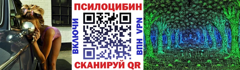 Псилоцибиновые грибы Psilocybine cubensis  мега как войти  Ковров 