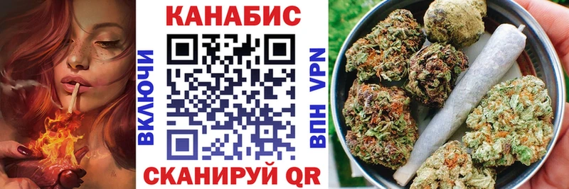 Канабис план  где можно купить   Ковров 